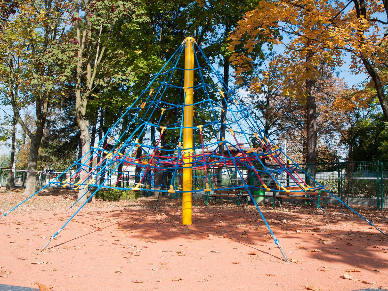 4305Z 6 jpg
